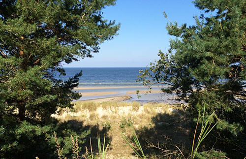 Mit dem Rad unterwegs- Blick auf die Ostsee
