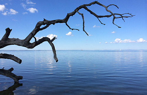 Wanderung zur Marina