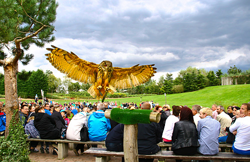 Erlebnis Vogelpark Marlow