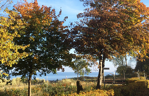 Herbst an der Ostsee