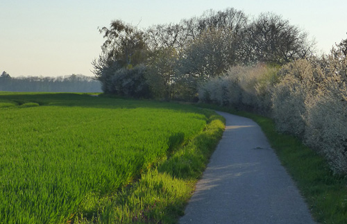 Radfahren