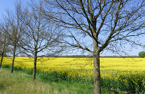 wunderbare Natur rund um Lubmin