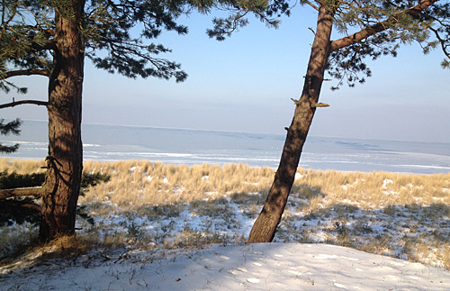 Wandern im Winter Ostsee