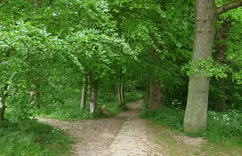 Freizeitaktivitäten